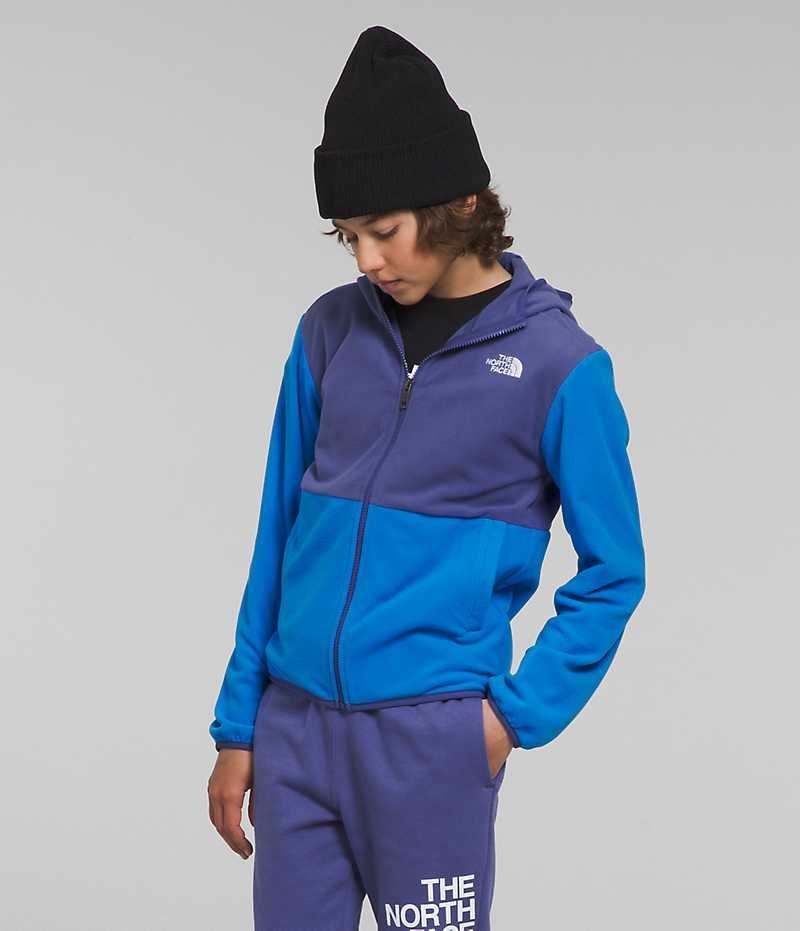 The North Face Glacier Full-Zip Hætte Fleece Jakker Drenge Blå | DK VMRIZ