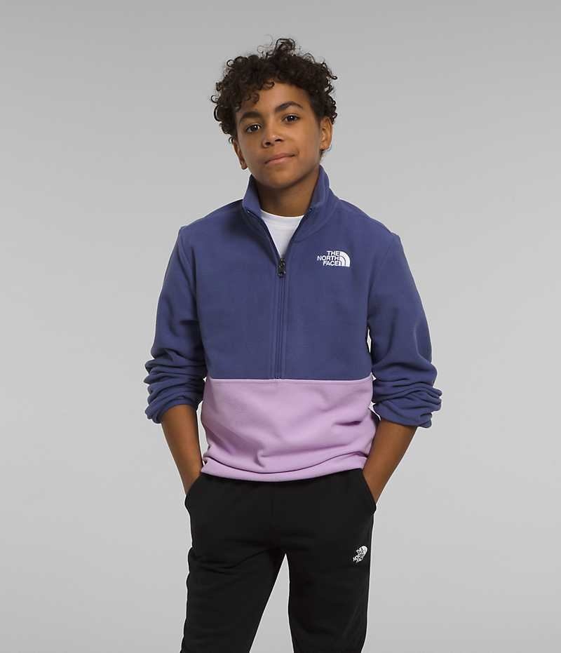 The North Face Glacier ¼-Zip Pullover Drenge Blå | DK DMFCI