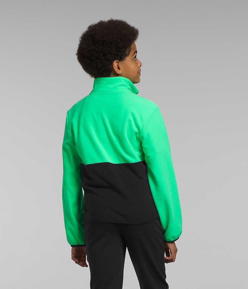 The North Face Glacier ¼-Zip Pullover Drenge Grøn | DANMARK KMECF