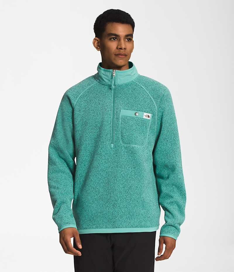 The North Face Gordon Lyons ¼-Zip Pullover Herre Turkis | DANMARK XALRP