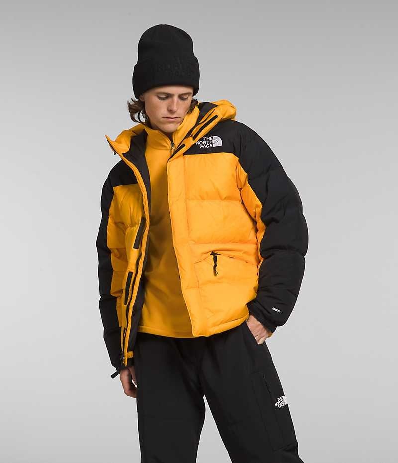 The North Face HMLYN Down Parka Herre Guld Sort | DANMARK RJILO