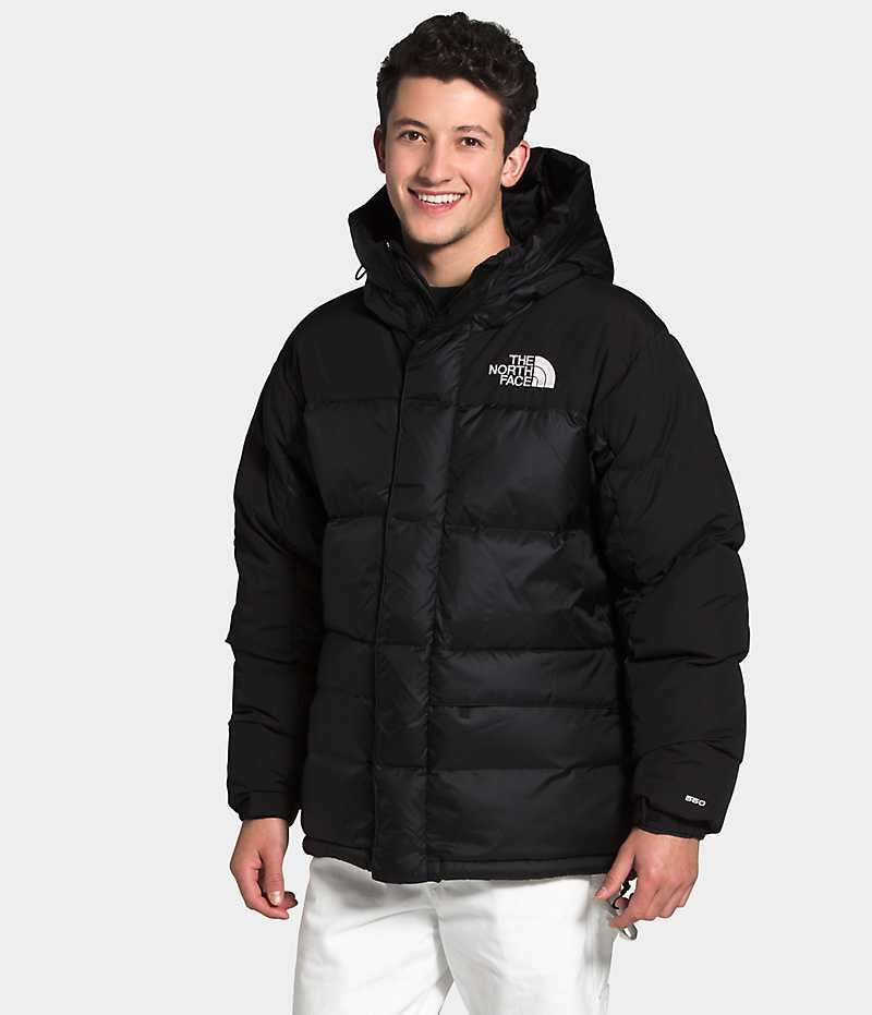 The North Face HMLYN Down Parka Herre Sort | DANMARK AUFLC