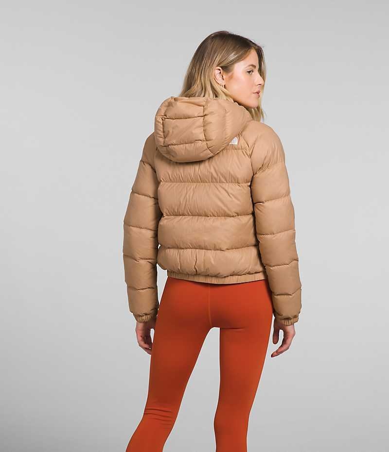 The North Face Hydrenalite™ Dunjakke Dame Brune | DK RNHQG