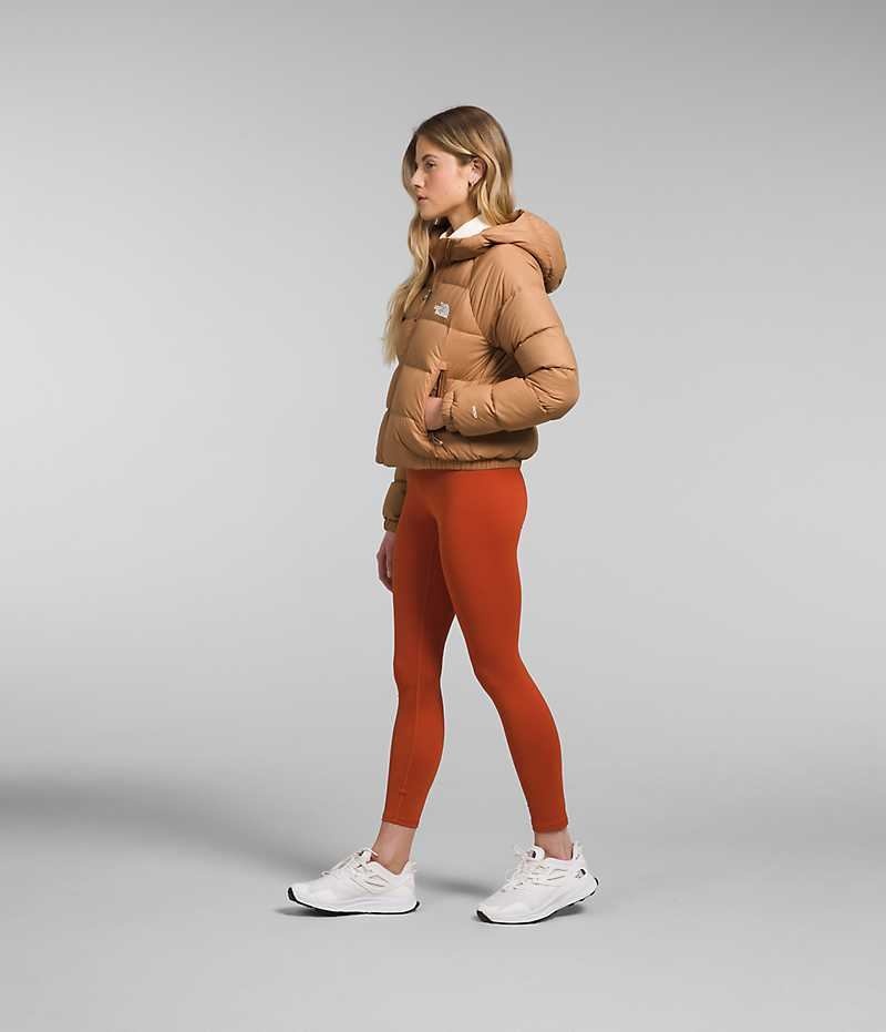 The North Face Hydrenalite™ Dunjakke Dame Brune | DK RNHQG