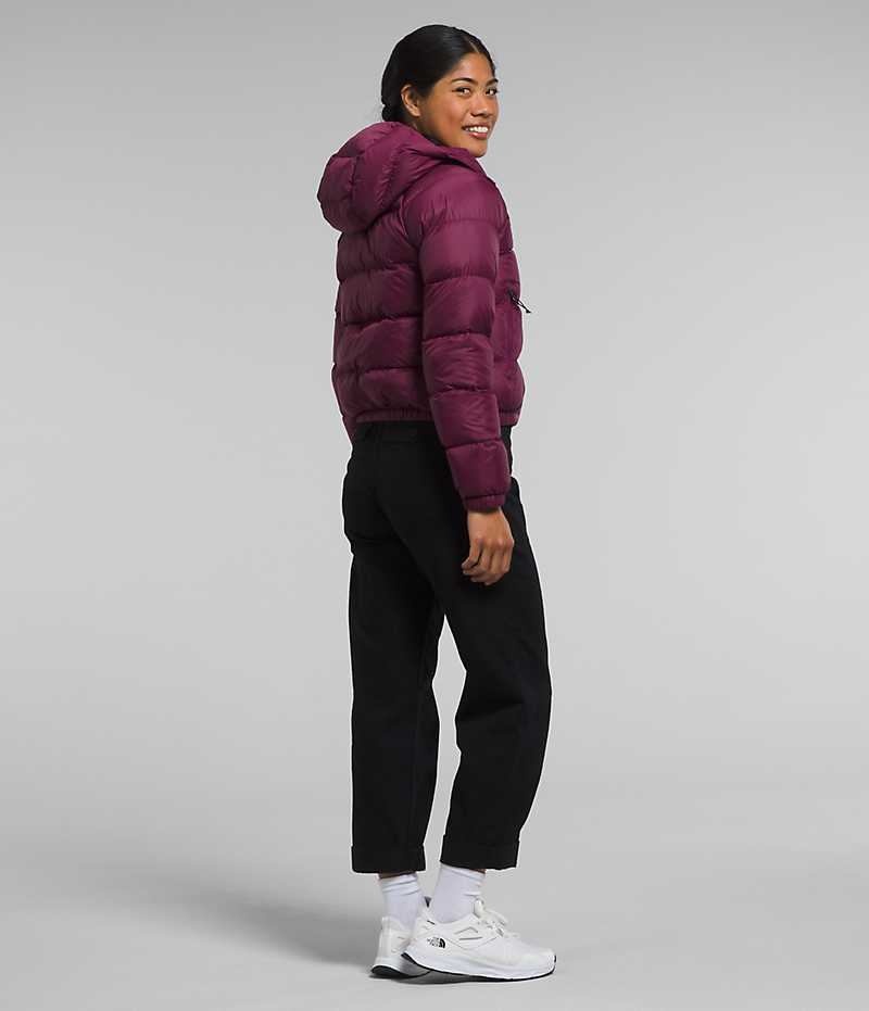 The North Face Hydrenalite™ Dunjakke Dame Fuchsia | DANMARK FCOPB