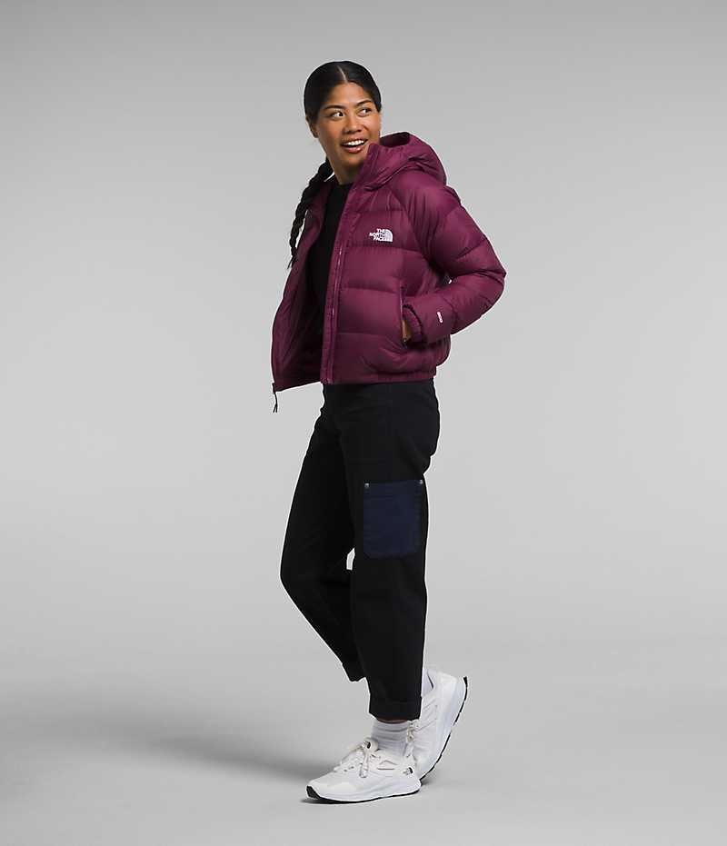 The North Face Hydrenalite™ Dunjakke Dame Fuchsia | DANMARK FCOPB