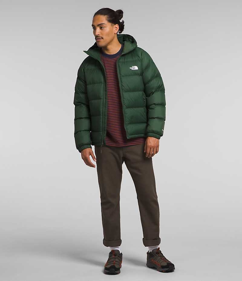 The North Face Hydrenalite™ Hoodie Dunjakke Herre Grøn | DANMARK JCAUK