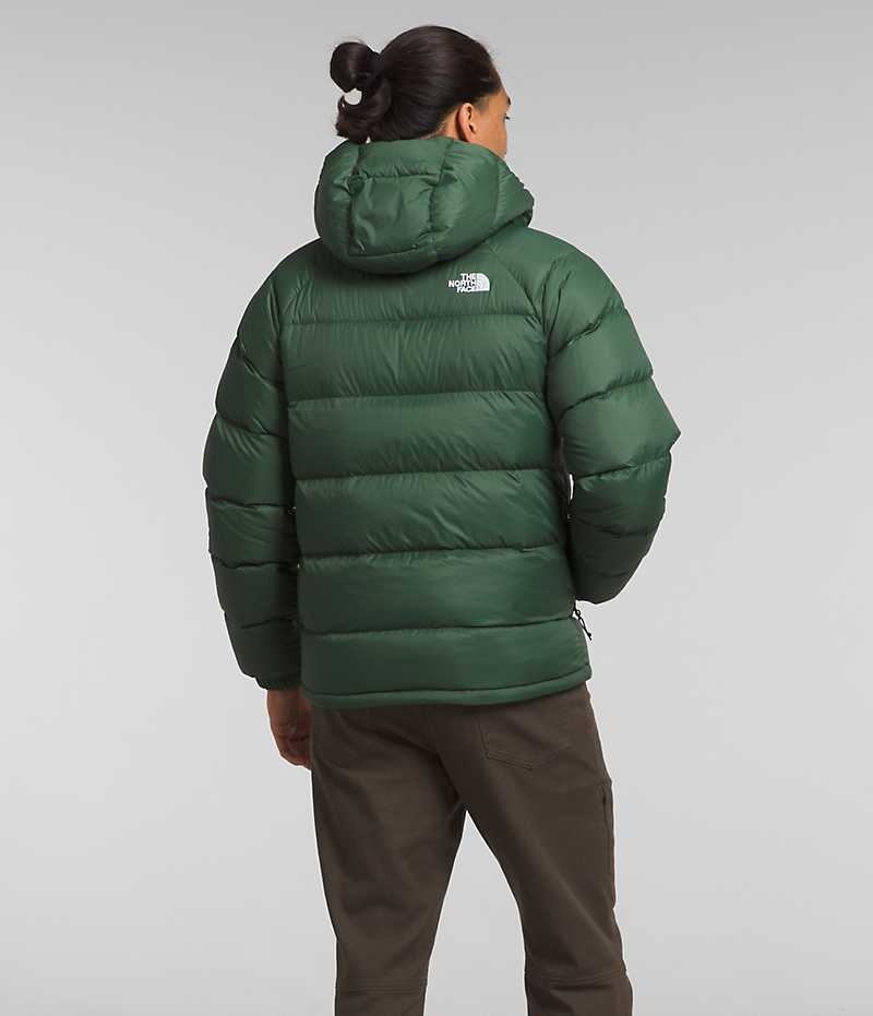 The North Face Hydrenalite™ Hoodie Dunjakke Herre Grøn | DANMARK JCAUK