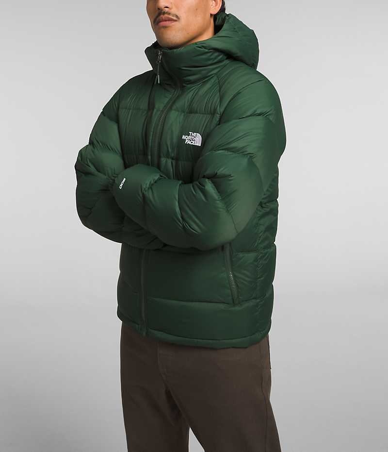 The North Face Hydrenalite™ Hoodie Dunjakke Herre Grøn | DANMARK JCAUK