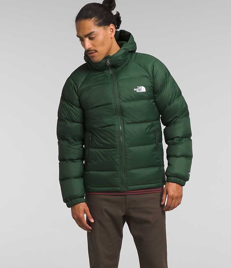 The North Face Hydrenalite™ Hoodie Dunjakke Herre Grøn | DANMARK JCAUK