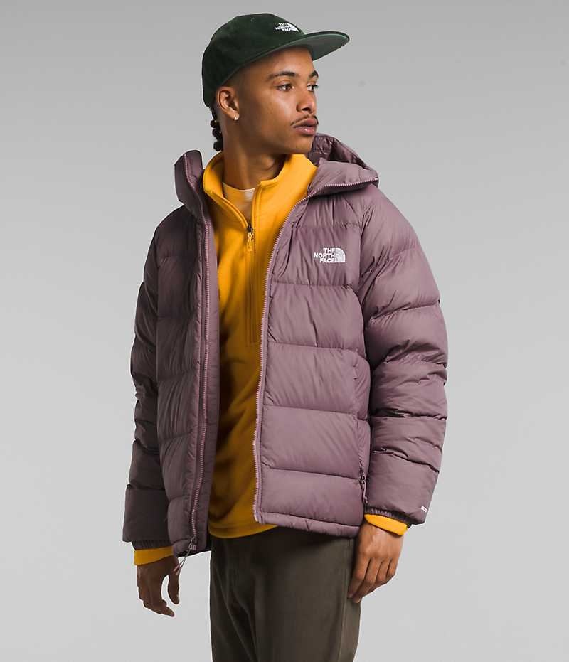 The North Face Hydrenalite™ Hoodie Dunjakke Herre Fuchsia | DK NHATZ