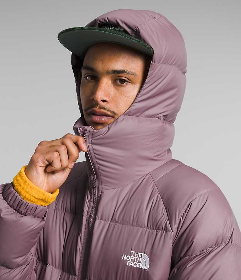 The North Face Hydrenalite™ Hoodie Dunjakke Herre Fuchsia | DK NHATZ