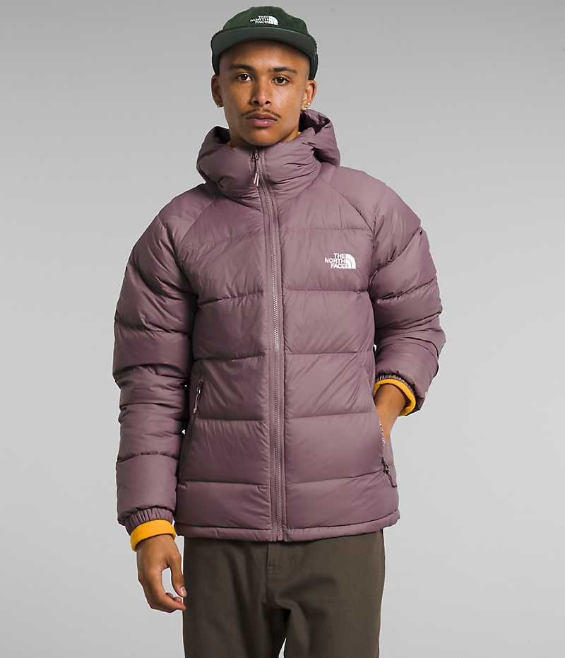 The North Face Hydrenalite™ Hoodie Dunjakke Herre Fuchsia | DK NHATZ