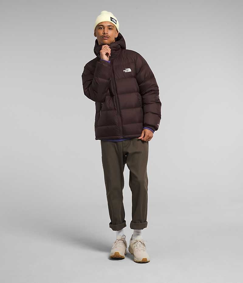 The North Face Hydrenalite™ Hoodie Dunjakke Herre Bordeaux | DANMARK WGZJX