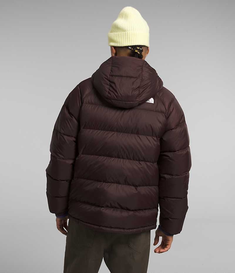 The North Face Hydrenalite™ Hoodie Dunjakke Herre Bordeaux | DANMARK WGZJX