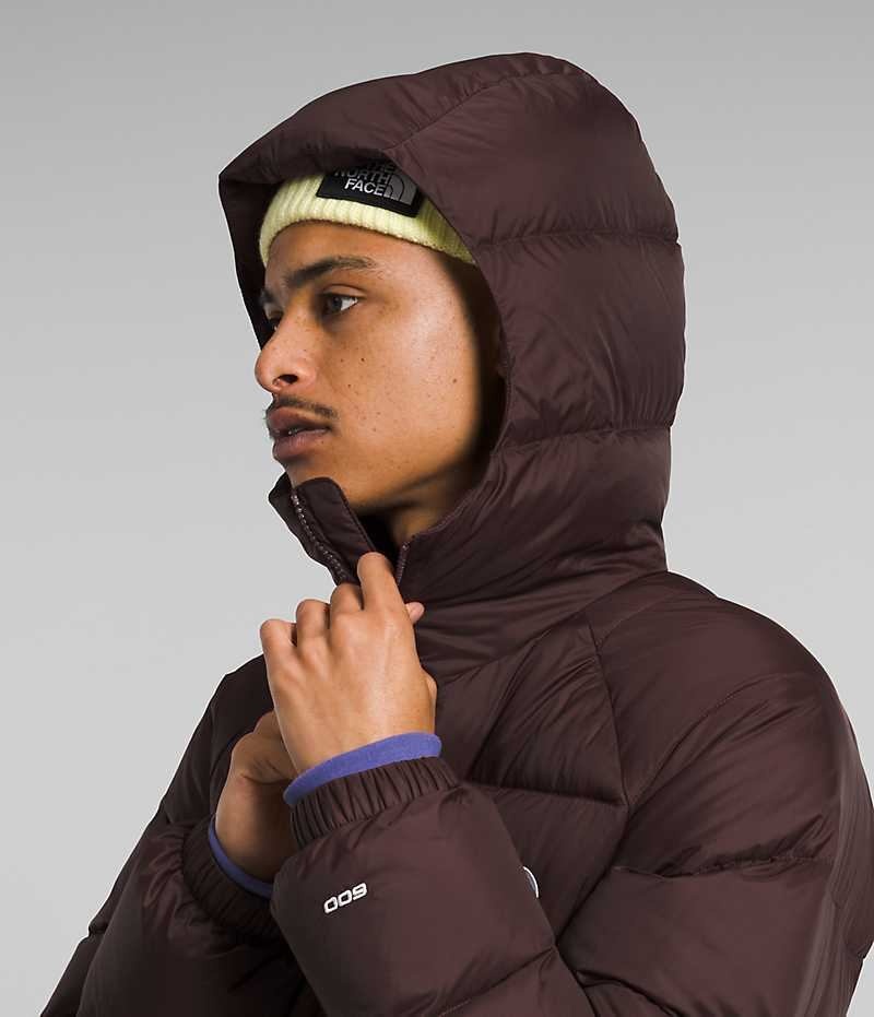 The North Face Hydrenalite™ Hoodie Dunjakke Herre Bordeaux | DANMARK WGZJX