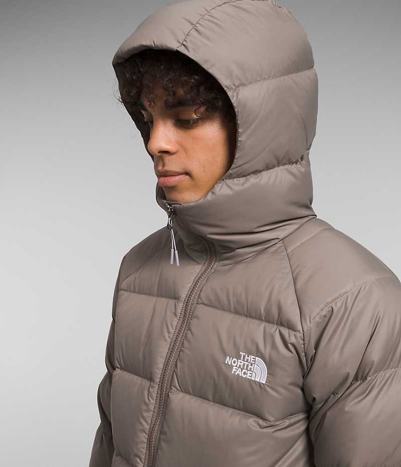 The North Face Hydrenalite™ Hoodie Dunjakke Herre Brune | DK MVSKO