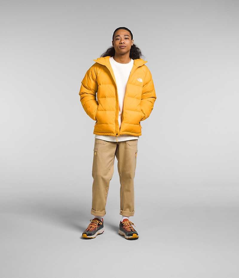 The North Face Hydrenalite™ Hoodie Dunjakke Herre Guld | DK DBJKE