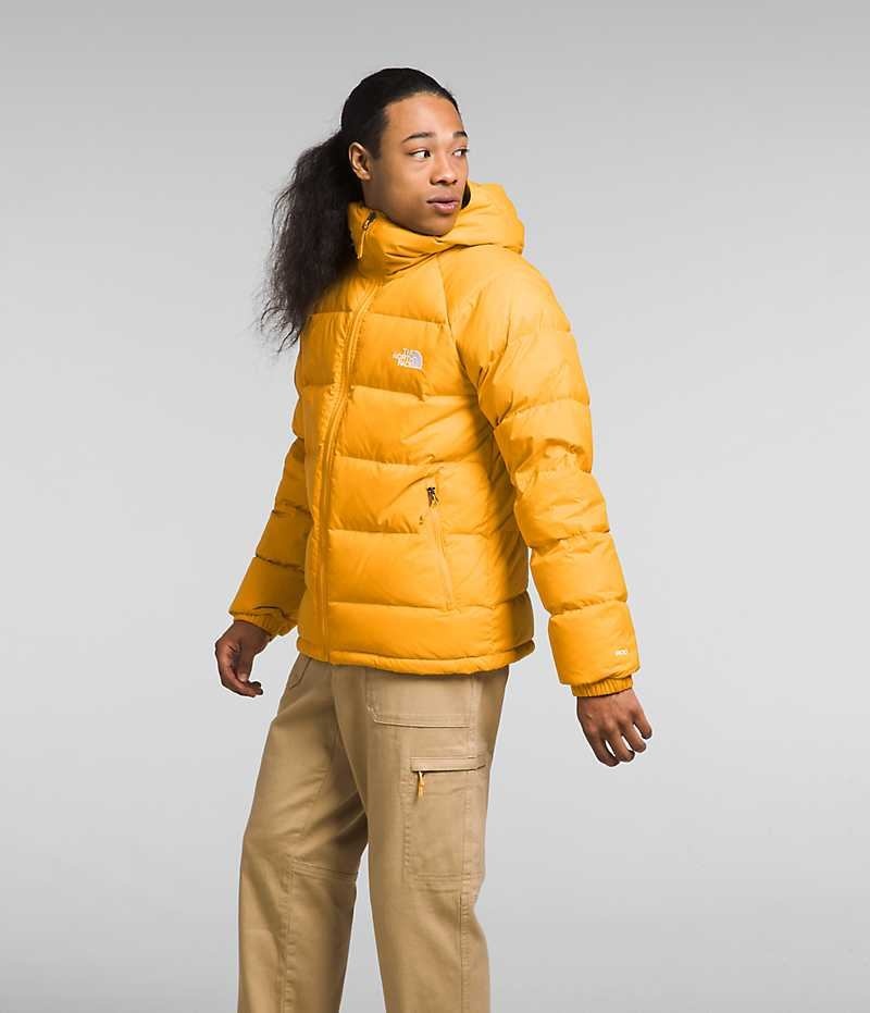 The North Face Hydrenalite™ Hoodie Dunjakke Herre Guld | DK DBJKE