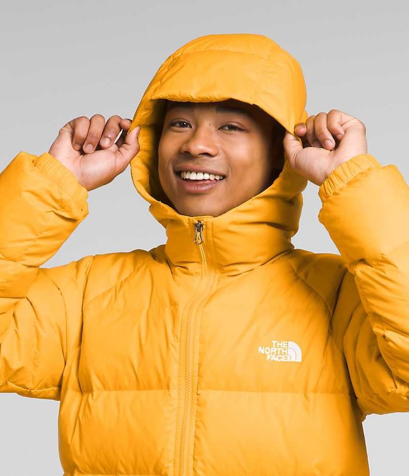 The North Face Hydrenalite™ Hoodie Dunjakke Herre Guld | DK DBJKE