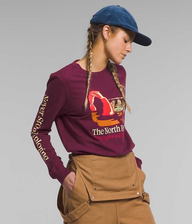 The North Face Long Sleeve Places We Love T-Shirt Dame Bordeaux | DANMARK BGRVS