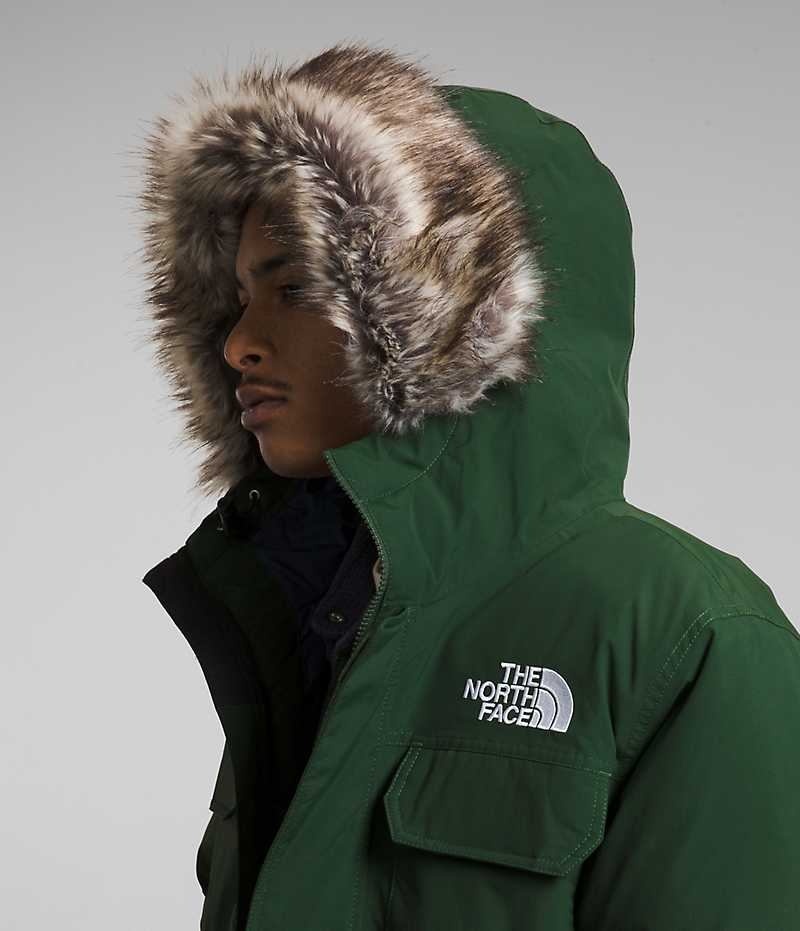 The North Face McMurdo Bomberjakke Herre Grøn | DANMARK LDMRC