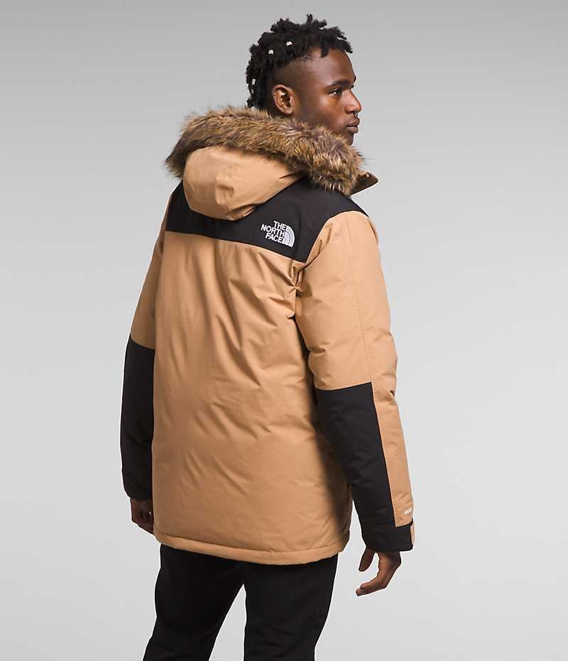 The North Face McMurdo Parka Herre Beige | DK NIQCP