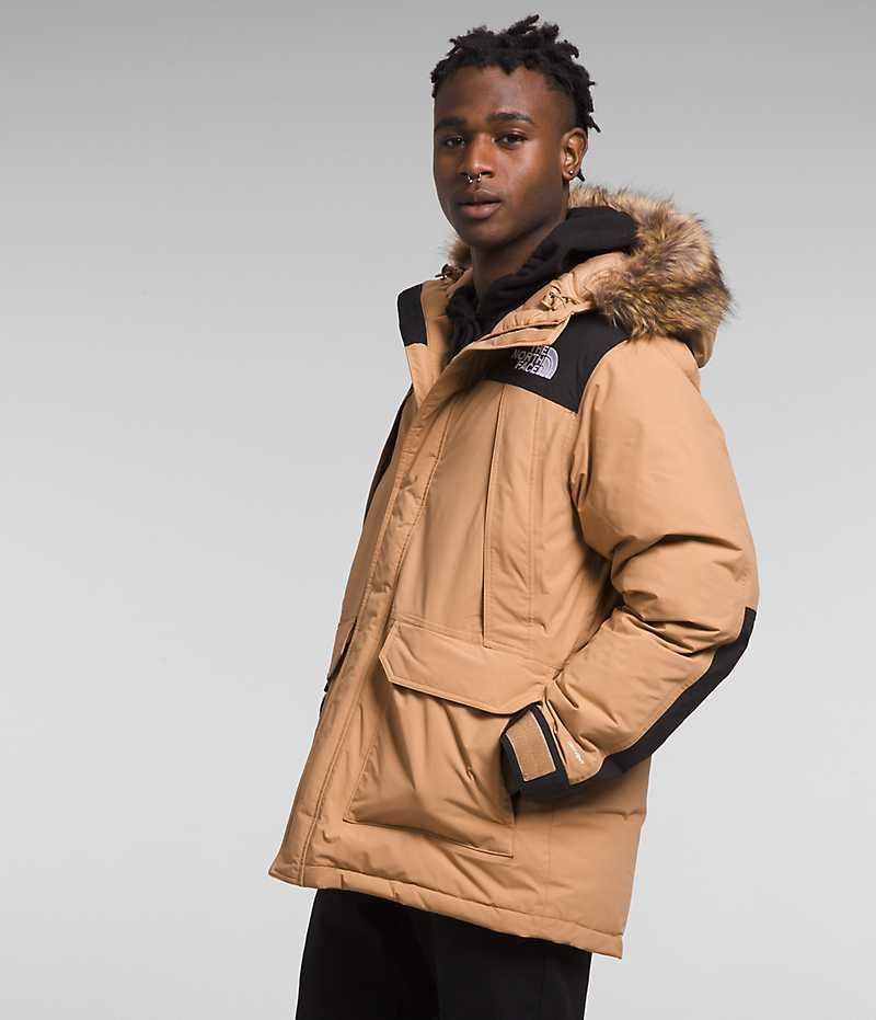 The North Face McMurdo Parka Herre Beige | DK NIQCP