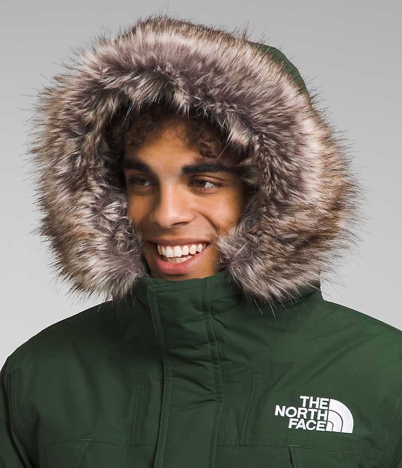 The North Face McMurdo Parka Herre Grøn | DANMARK RAWXI