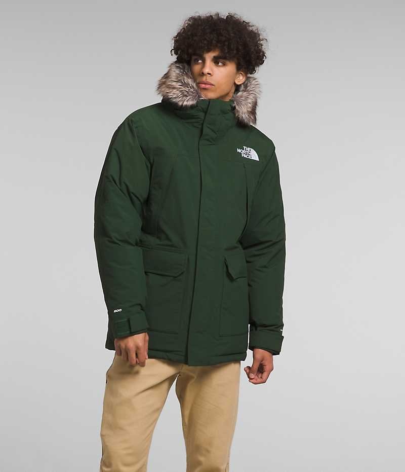 The North Face McMurdo Parka Herre Grøn | DANMARK RAWXI