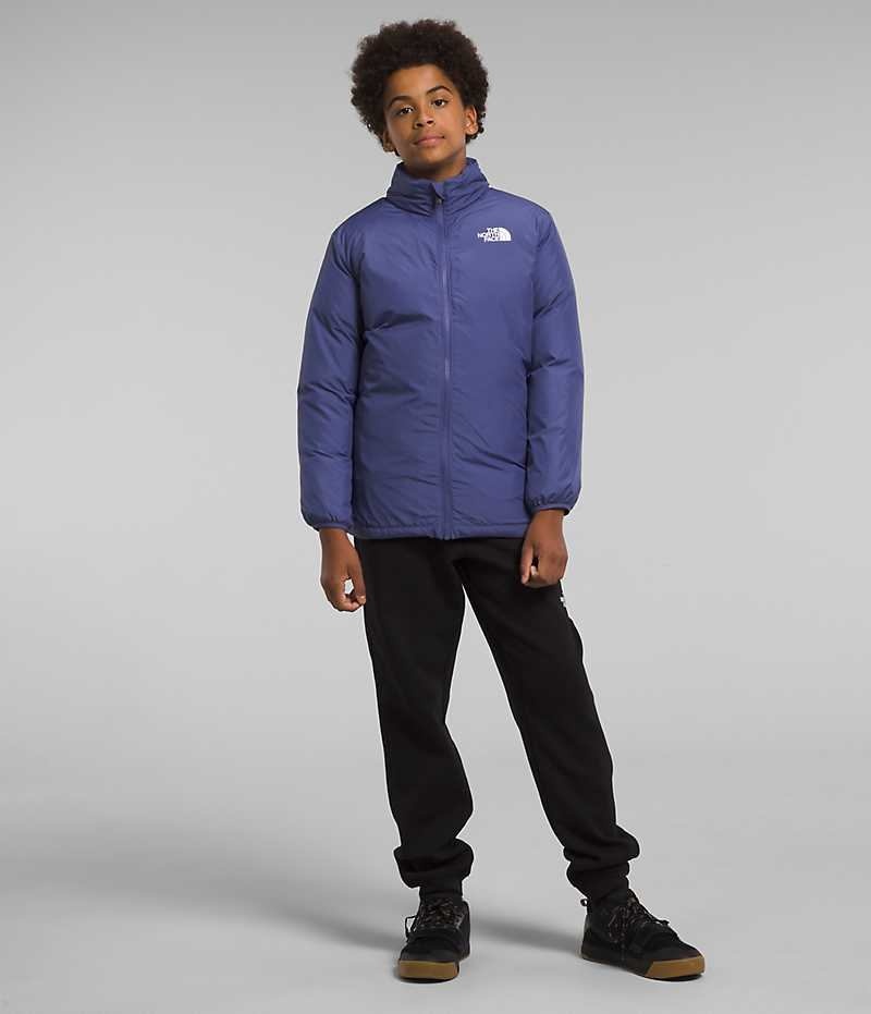 The North Face North Triclimate® Dunjakke Drenge Blå | DANMARK NISLC