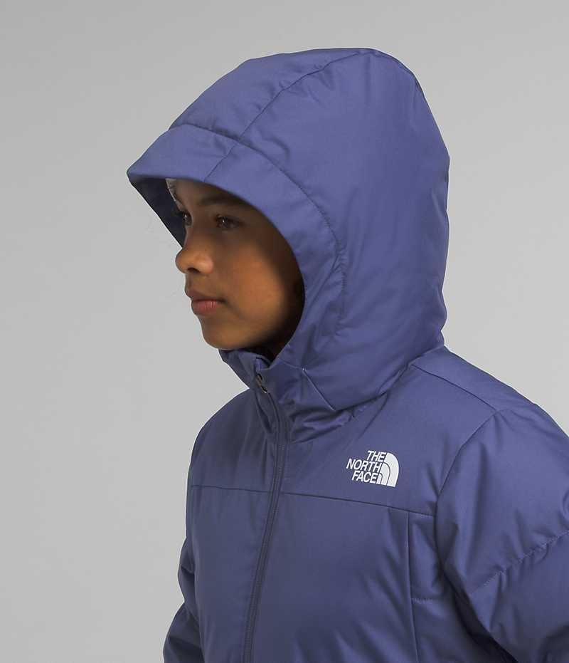 The North Face Pallie Dunjakke Pige Blå | DK ZNSHT