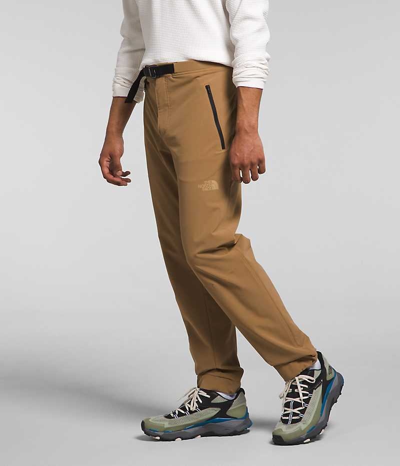 The North Face Paramount Pro Joggers Herre Brune | DK HMFBV