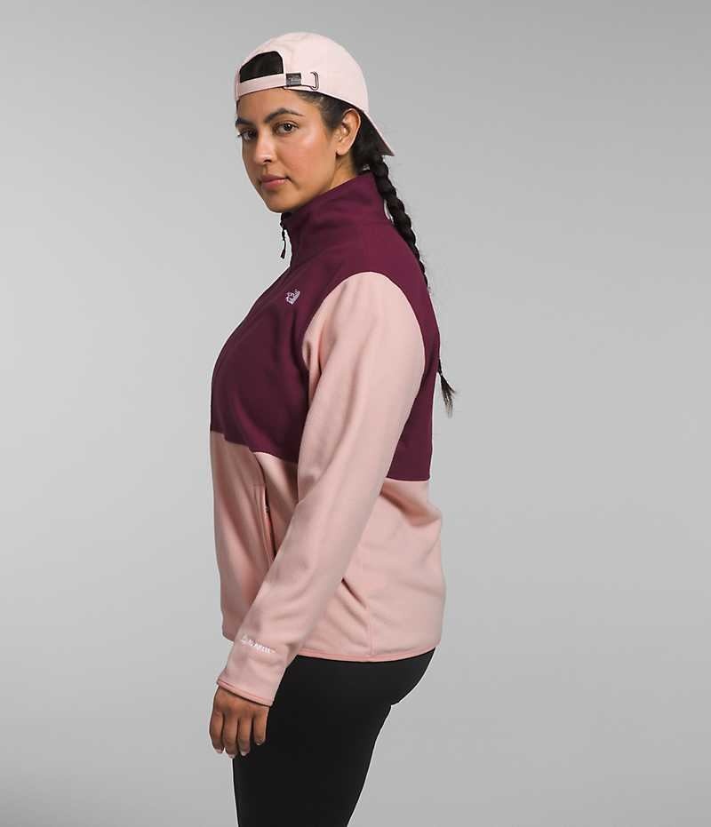 The North Face Plus Alpine Polartec® 100 Fleece Jakker Dame Lyserød | DK ZTWAO