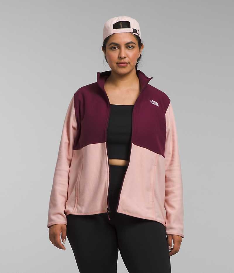 The North Face Plus Alpine Polartec® 100 Fleece Jakker Dame Lyserød | DK ZTWAO