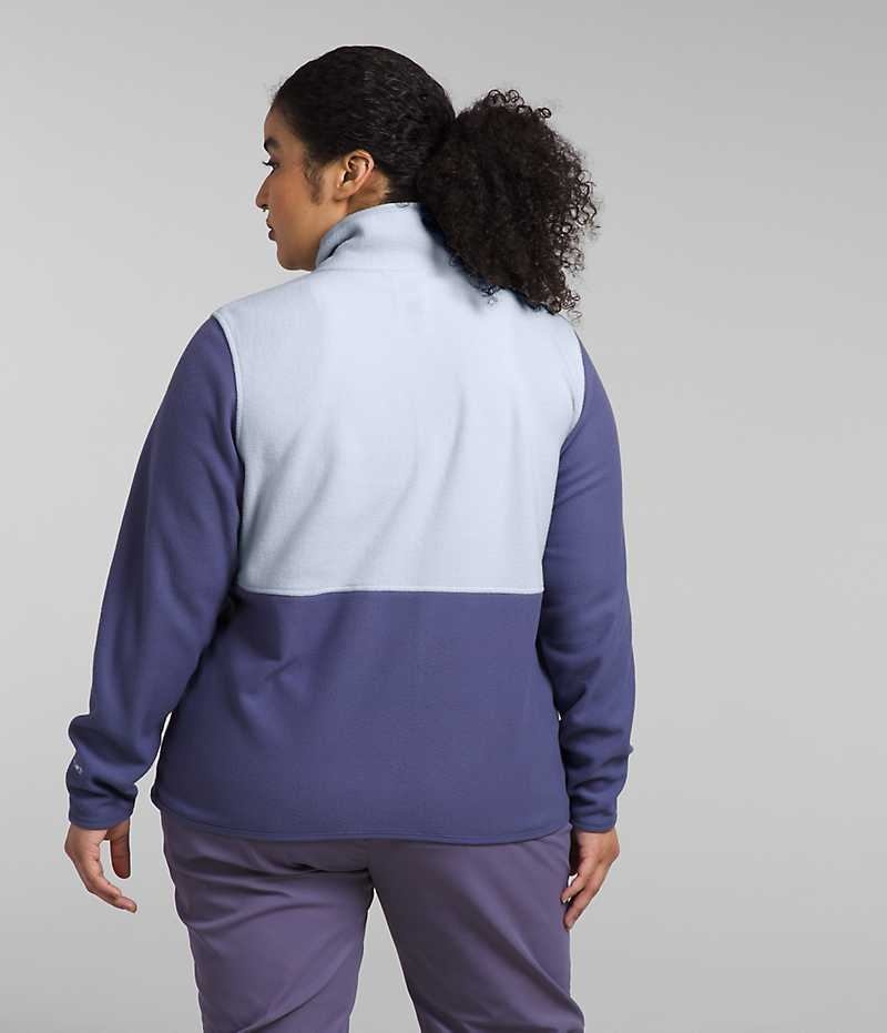 The North Face Plus Alpine Polartec® 100 Fleece Jakker Dame Blå | DK AJZQG