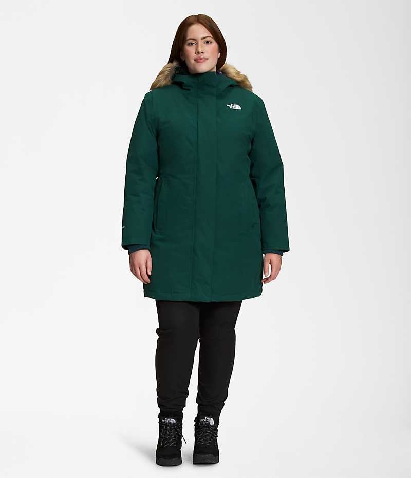 The North Face Plus Arctic Parka Dame Grøn | DK PJTZM