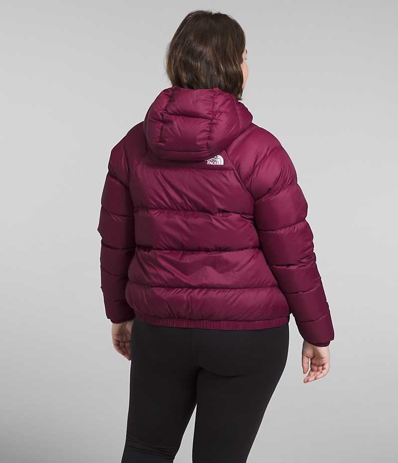 The North Face Plus Hydrenalite™ Hoodie Dunjakke Dame Rød | DK RKLSV