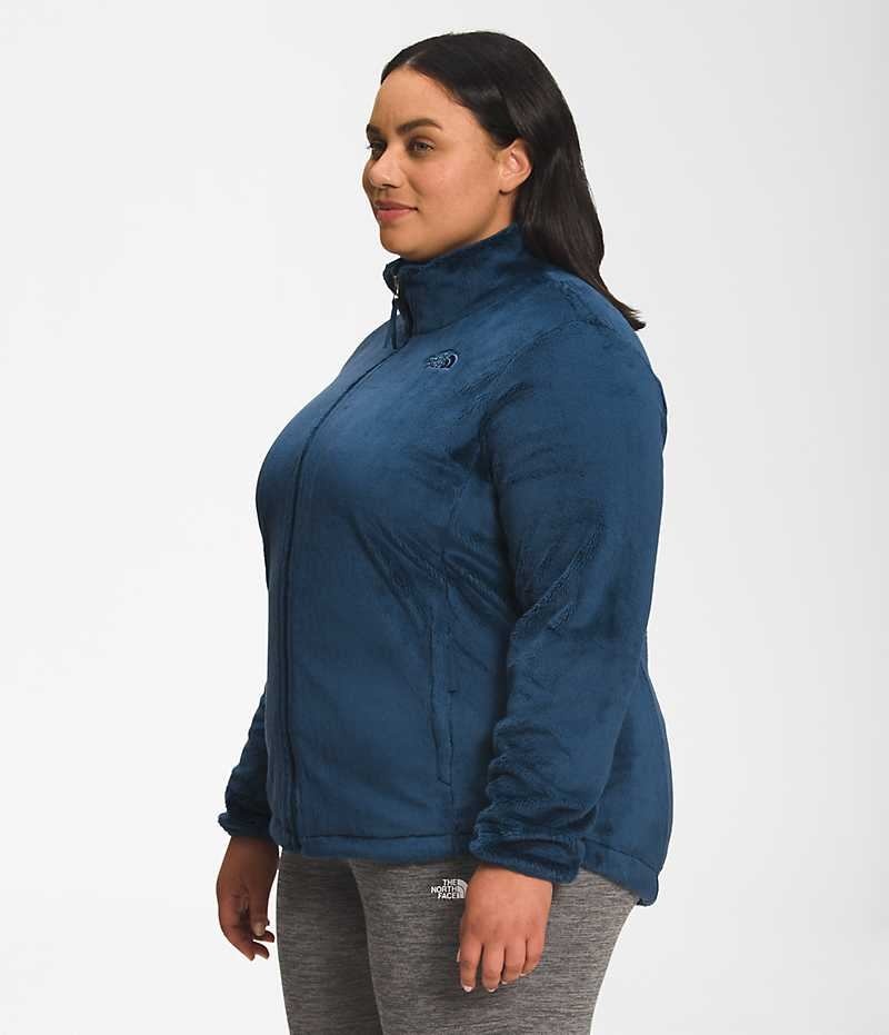 The North Face Plus Osito Fleece Jakker Dame Blå | DK JUHCL