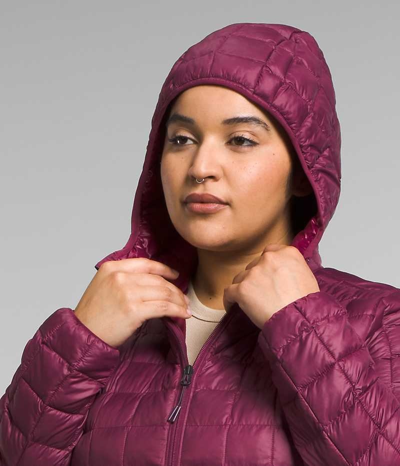 The North Face Plus ThermoBall™ Eco Parka Dame Rød | DK WBVEX