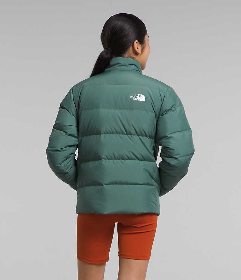 The North Face Reversible North Dunjakke Pige Grøn | DK JNWQX