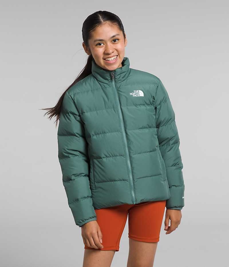 The North Face Reversible North Dunjakke Pige Grøn | DK JNWQX