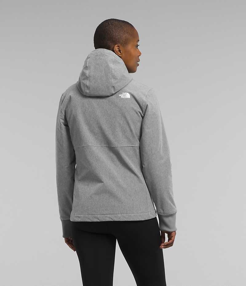 The North Face Shelbe Raschel Hoodie Softshell Jakke Dame Grå | DANMARK FIBUT