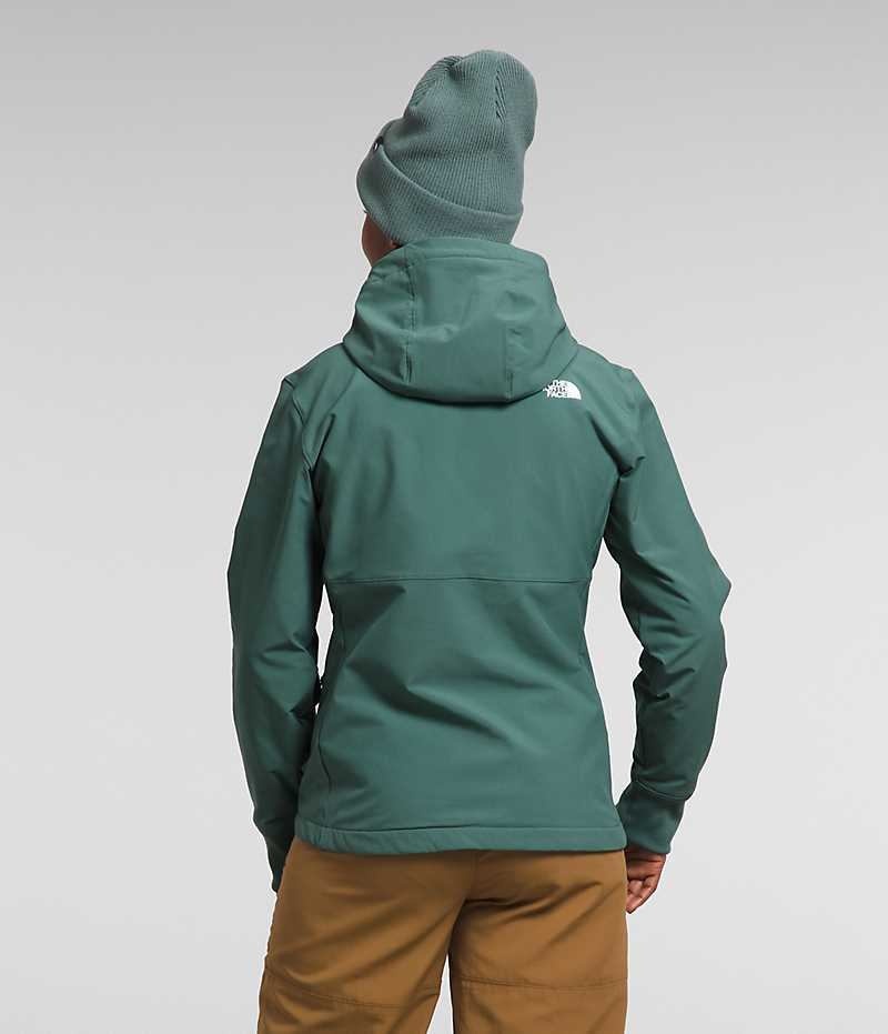 The North Face Shelbe Raschel Hoodie Softshell Jakke Dame Grøn | DANMARK HJUMY