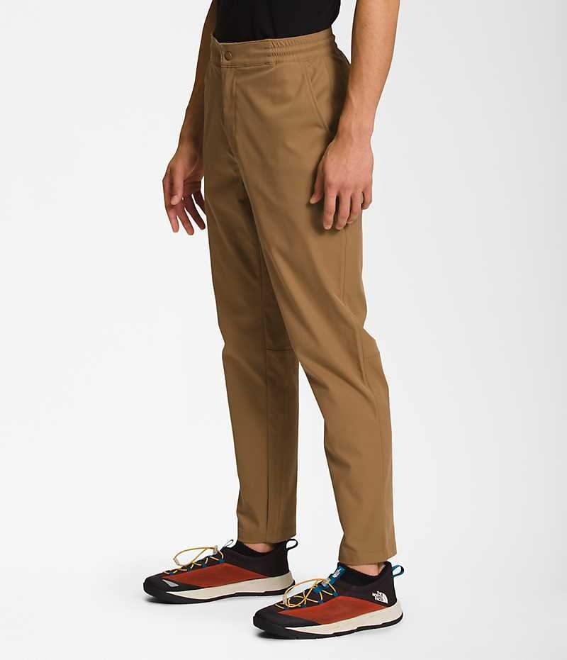 The North Face Standard Tapered Bukser Herre Brune | DK KACRT