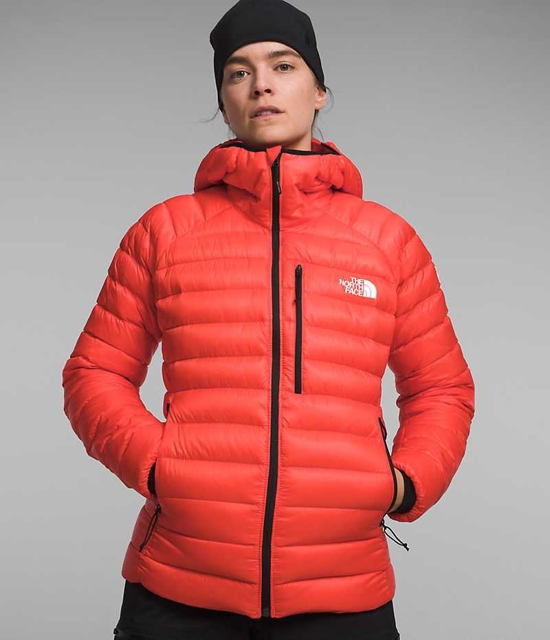 The North Face Summit Series Breithorn Hoodie Dunjakke Dame Orange | DK OJWCR