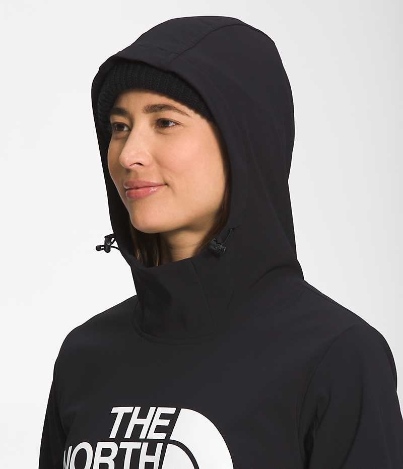 The North Face Tekno Pullover Hættetrøje Dame Sort | DK BJCLS