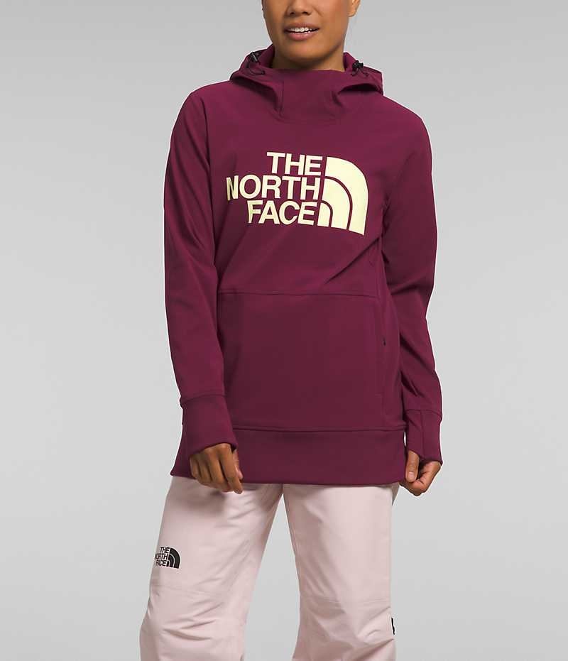 The North Face Tekno Pullover Hættetrøje Dame Fuchsia | DANMARK ITSGV