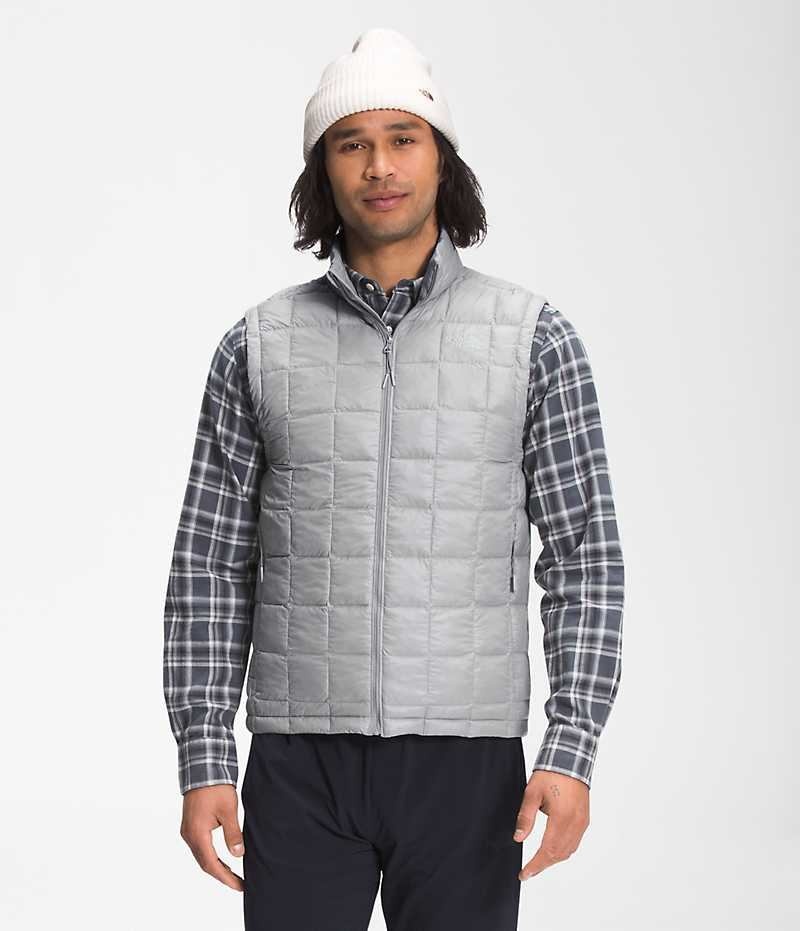 The North Face ThermoBall™ Eco 2.0 Dunvest Herre Grå | DANMARK SLFVG