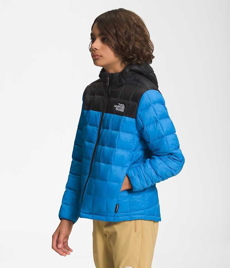 The North Face ThermoBall™ Hætte Dunjakke Drenge Blå | DK UAYKD